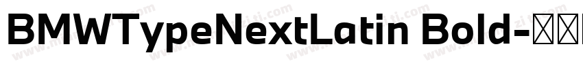 BMWTypeNextLatin Bold字体转换